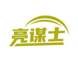 亮谋士 商标图样