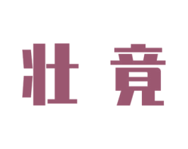 壮竟 商标图样