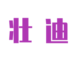 壮迪 商标图样