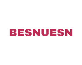 BESNUESN 商标图样