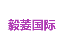 毅菱国际 商标图样