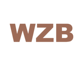 WZB 商标图样