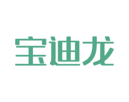 宝迪龙 商标图样