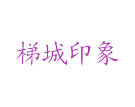 梯城印象 商标图样