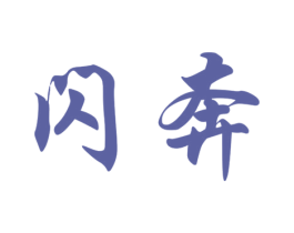闪奔 商标图样