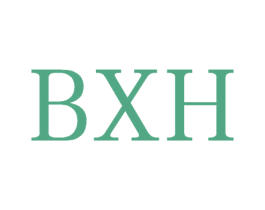 BXH 商标图样