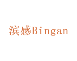 滨感 商标图样