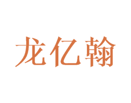 龙亿翰 商标图样
