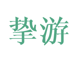 挚游 商标图样