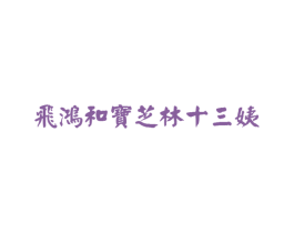 飞鸿和宝芝林十三姨 商标图样