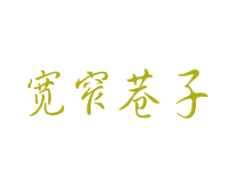 宽窄巷子 商标图样