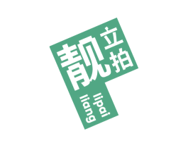 靓立拍 商标图样