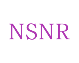NSNR 商标图样