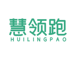慧领跑 商标图样