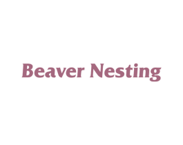 BEAVER NESTING 商标图样