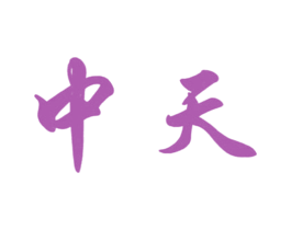中天 商标图样