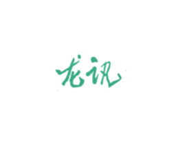龙讯 商标图样