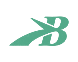 B 商标图样