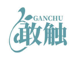 敢触 商标图样