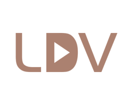 LDV 商标图样