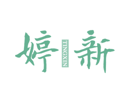 婷新 商标图样