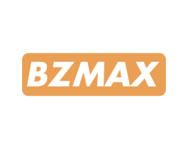 BZMAX 商标图样