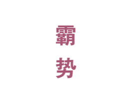 霸势 商标图样