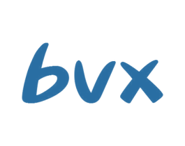 BVX 商标图样