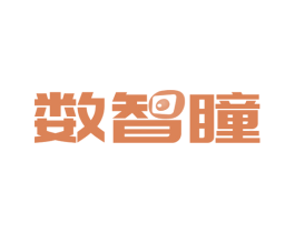 数智瞳 商标图样