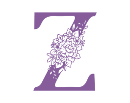 Z 商标图样