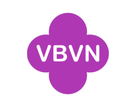VBVN 商标图样