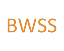 BWSS 商标图样