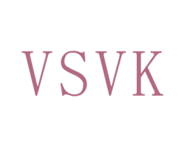 VSVK 商标图样