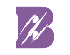 B 商标图样