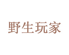 野生玩家 商标图样