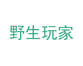野生玩家 商标图样
