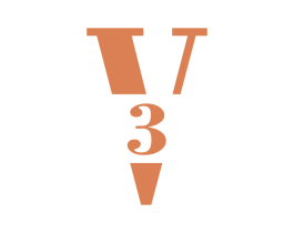 V 3 商标图样