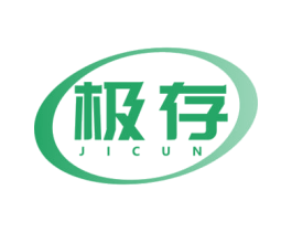 极存 商标图样