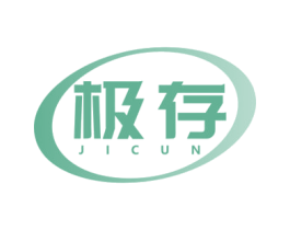 极存 商标图样