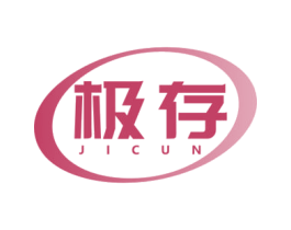 极存 商标图样