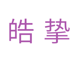 皓挚 商标图样