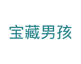 宝藏男孩 商标图样
