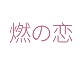 燃恋 商标图样