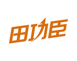 田功臣 商标图样