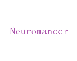 NEUROMANCER 商标图样