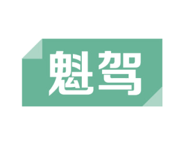 魁驾 商标图样