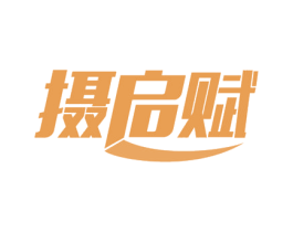 摄启赋 商标图样