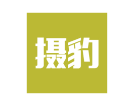 摄豹 商标图样