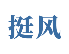 挺风 商标图样