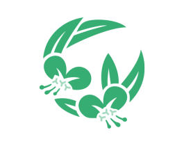 图形 商标图样